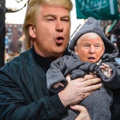 TinyTrumpPosts's profile picture. 
