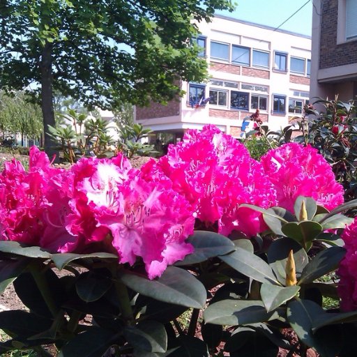 Compte Twitter de l'école élémentaire Honoré de Balzac (Nanterre)

Ecole REP mb du réseau UNESCO engagée dans le projet international Aujourd'hui pour demain​