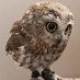 webnewsproducer (@webnewsproducer) Twitter profile photo webnewsproducer (@webnewsproducer) Twitter profile photo