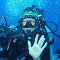 Sallyann Gudge (@gudgesallyann) 's Twitter Profile