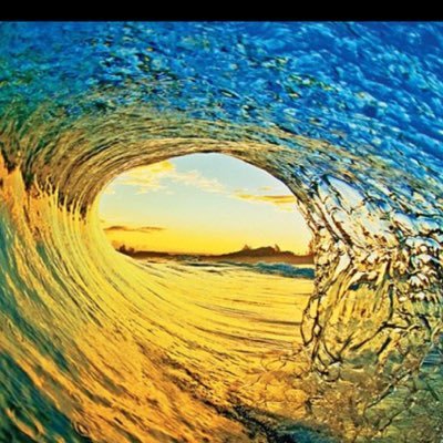 801_bradee's profile picture. surfing, snowboarding, outside stuff.