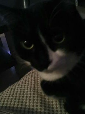 LucidecesChusti's profile picture. Ey