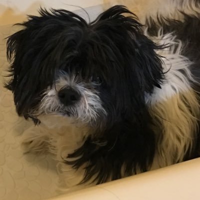 KevinLeeRose80's profile picture. musician, composer, gamer, and retro game collector. If you like 8-bit music, check out my YouTube channel: https://t.co/6b4NumRhzw