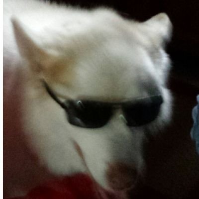 matwils85's profile picture. 