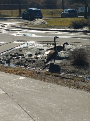 pink_tower2003's profile picture. 