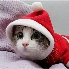 pdyr_1702's profile picture. 