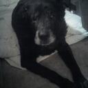 Judith Pappas - @judlyn - Twitter