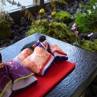 白和荘 女将 (@yurimaa) 's Twitter Profile