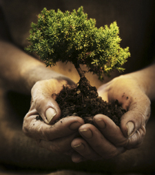 A journey through the seasons of life, rooted firmly in the fullness of Grace and Truth.