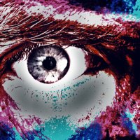 David P. (@david_p_r) 's Twitter Profile