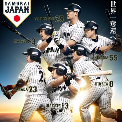 千葉県某高校野球部元主将 引退 野球が好きな方、宜しくお願いします！