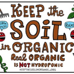 KSO is an international movement of organic farmers, consumers & organisations who are trying to keep the #organic standards true to their roots