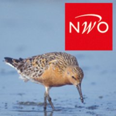 Financiert toponderzoek voor NWO Domein Exacte en Natuurwetenschappen  @NWOnieuws over #aarde #oceanen #atmosfeer #natuur en #biologie, inclusief de mens.