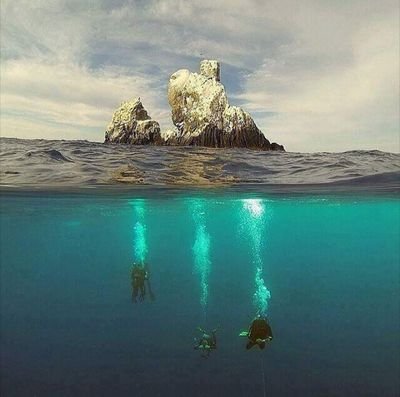 victor_genovesi's profile picture. 