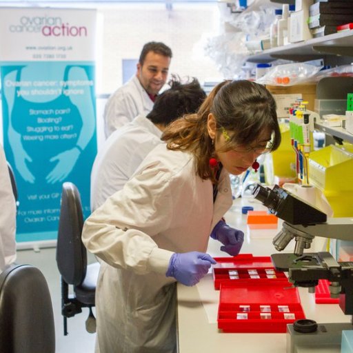 Ovarian Cancer Action Research Centre based at Imperial College London. Focused on translational research to improve outcomes for women with ovarian cancer.