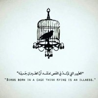 nadia idriss (@nadia_idriss) Twitter profile photo