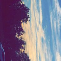 Wesleyspeck (@wesleyspeck4) 's Twitter Profile