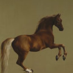 ianrumford's profile picture. An Ostler in IT