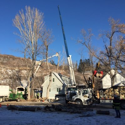 Precise Pruning Ltd out of Airdrie, Alberta. We are a full time tree service provider with two 75' and eight 65' aerials. PVMA & ISA Certified Arborist.