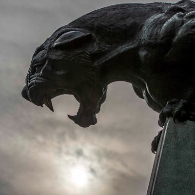 YouphengXiong's profile picture. 