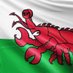 Skin Care Cymru (@skincarecymru) Twitter profile photo Skin Care Cymru (@skincarecymru) Twitter profile photo