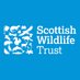 Scottish Wildlife Trust (@ScotWildlife) Twitter profile photo