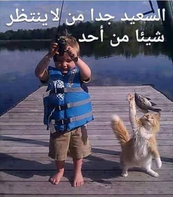 el6853001's profile picture. هلا وغلا