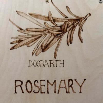 News from Dosbarth Rosemary