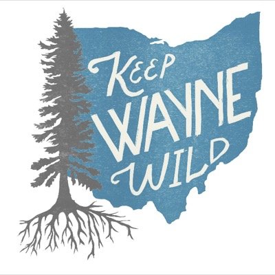 Celebrating and protecting Ohio's only national forest #keepwaynewild keepwaynewild@gmail.com