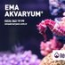 Ema Akvaryum (@ema_akvaryum) Twitter profile photo Ema Akvaryum (@ema_akvaryum) Twitter profile photo