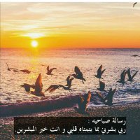إيلاف. (@pphyss) 's Twitter Profile