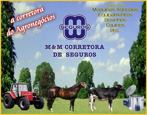 MM_SEGUROS's profile picture. A MEGALEITE ESTÁ CHEGANDO, COTE O SEGURO DE TRANSPORTE PARA O SEU ANIMAL !