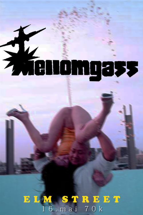 Mellomgass's profile picture. 100