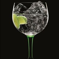 ginbucketlist (@myginbucketlist) 's Twitter Profile