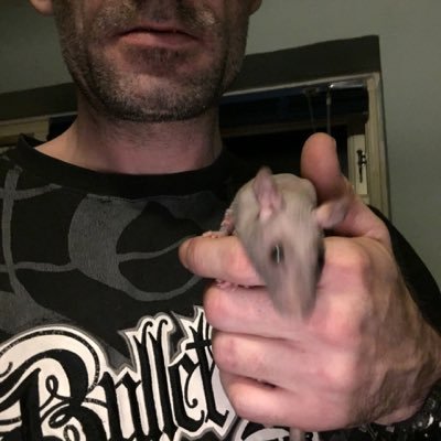 rotternesfrist1's profile picture. Er smadder sød og smadder dejlig menneske har det altid godt og glad elsker søde piger elsker at nyde at se på er det svære ikke tid til ret meget andet jeg er