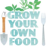 AllotmentInspiration(@Allotmentinsp) 's Twitter Profile Photo