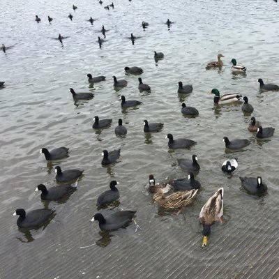 beyond_fears's profile picture. I'm a confident, organized and beautiful mom, enjoy spending time with my son doing what is important.