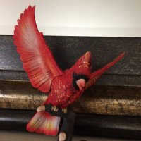 Red Bird 72 (@redbird725) 's Twitter Profile Photo Red Bird 72 (@redbird725) 's Twitter Profile Photo