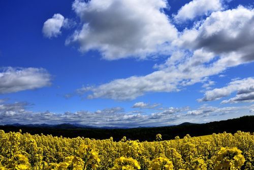 写真で北海道の良さを紹介いたします。最近ブレ写真に凝っていますので時々載せます