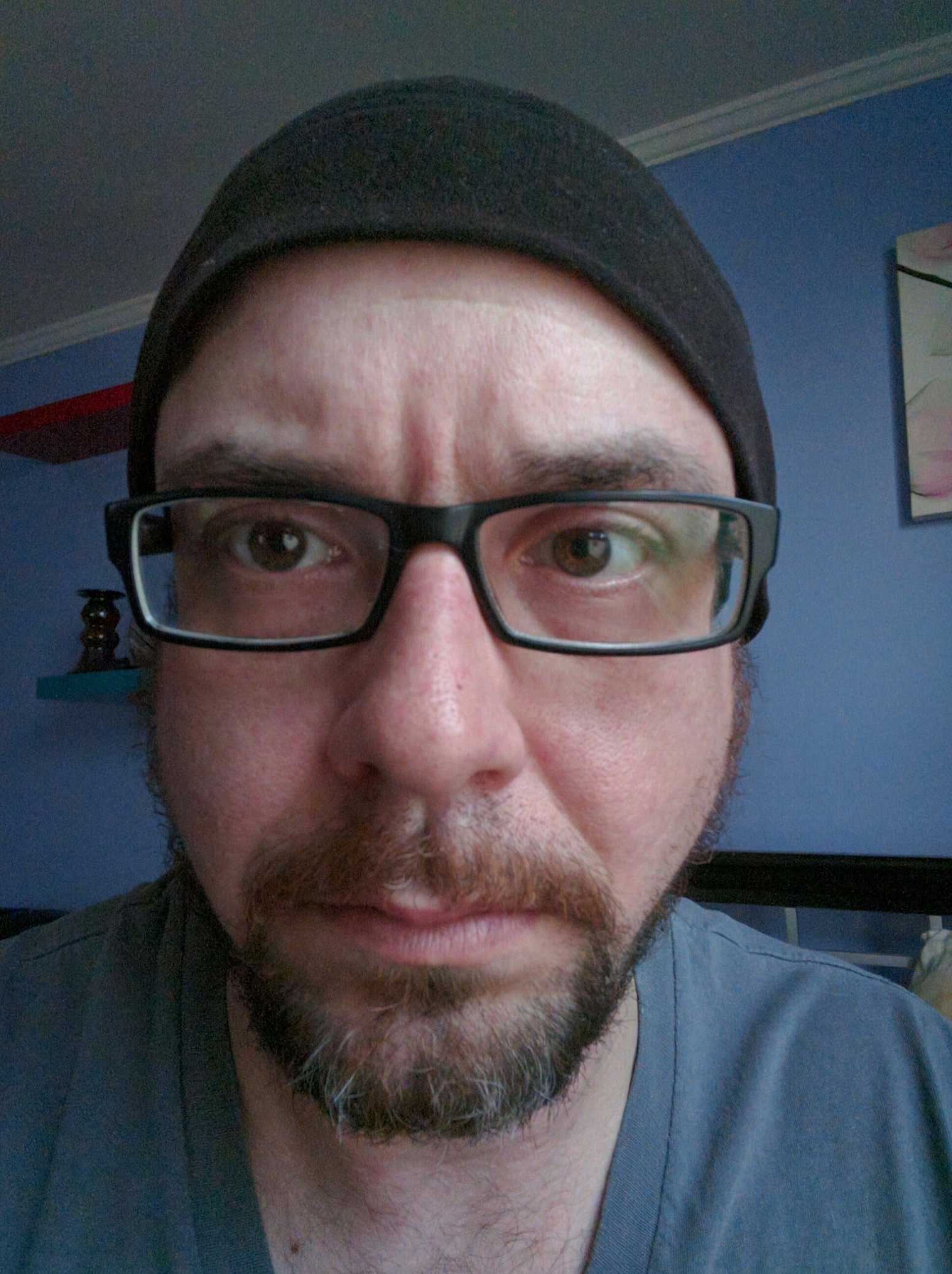 AvHayeseed's profile picture. Not much to say