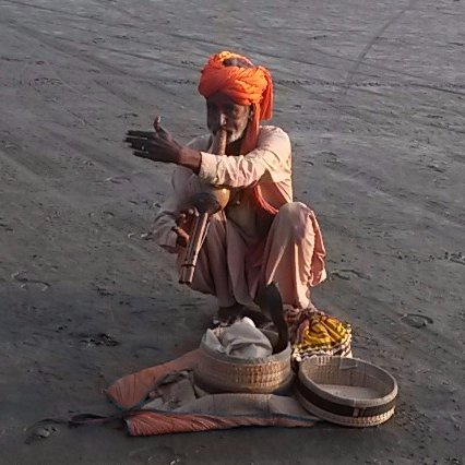 Shay McGuinness Profile