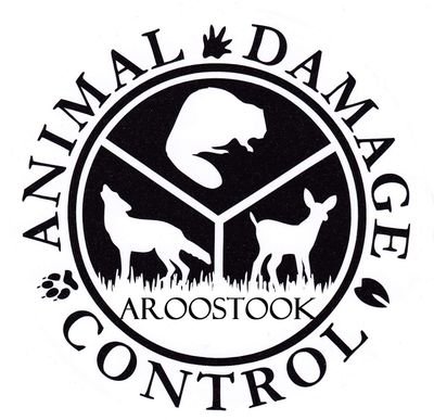 Licensed / Insured Maine Animal Damage Control Agent. We work with The Maine Warden Service and State Biologists to solve your nuisance wildlife problems.