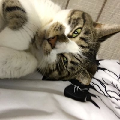 jujub8888's profile picture. 