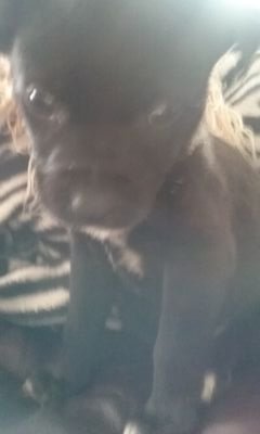 cheetahcub08's profile picture. Music Cute Amazing Animals Hip-Hop/Rap Pop Fun