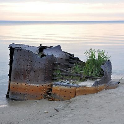 DaveKarikas's profile picture. Just a regular guy on Twitter.