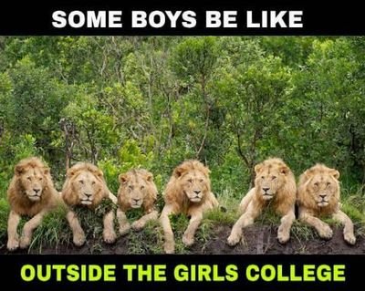 Sandeep79738281's profile picture. 