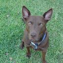 James McCawley - @JimmyMac64 - Twitter