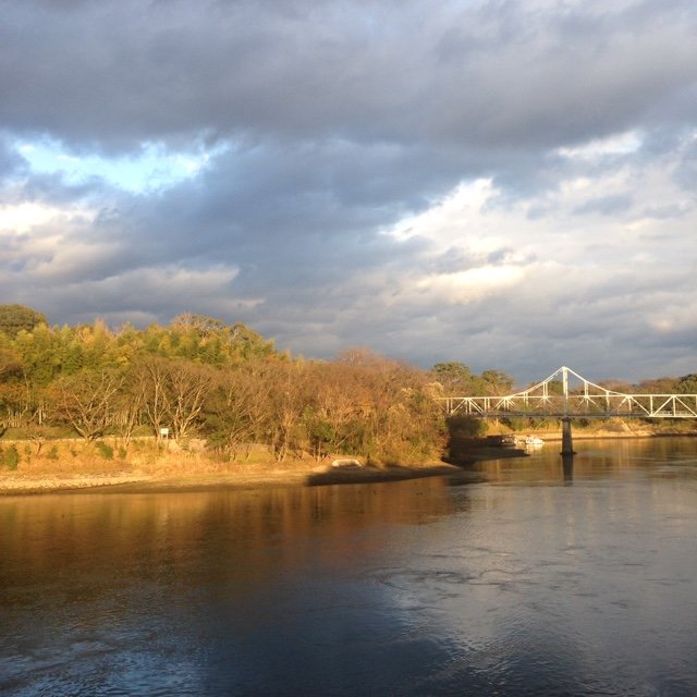 toshiyama__t's profile picture. 