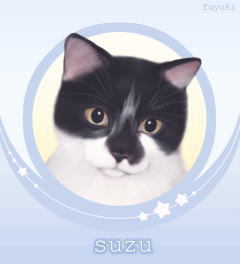 suzumomoakacha's profile picture. 猫と暮らす主婦で残念な貴腐人。猫を始め小動物が大好き。東宝ミュージカルが大好き。井上芳雄君、山崎育三郎君、古川雄大君のＦＣ会員。 趣味は刺繍、刺し子、手編みなどの手仕事やお菓子作り。国境無き猫もふ団団員。猫アイコンのフォロバ率高し。