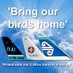 bringourbirdshome✈️ (@bringourbirds) Twitter profile photo bringourbirdshome✈️ (@bringourbirds) Twitter profile photo